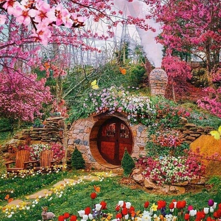 تو جور سیگار ناو مسی آرامی